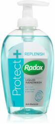 Radox Anti-bacterial Handwash Protect Replenish 250ml
