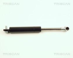 TRISCAN Amortizor portbagaj TRISCAN 8710 25212 (8710 25212) - automobilus