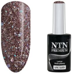 NTN Premium UV/LED 89#