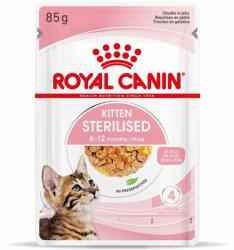 Royal Canin Kitten Sterilised in jelly 12x85 g
