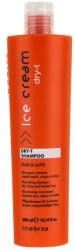 Inebrya Șampon pentru păr uscat - Inebrya Ice Cream Dry-T Shampoo 300 ml
