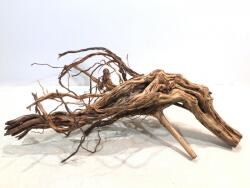 INVITAL Dragon wood 60-90cm (ID Z03515)