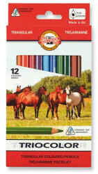 KOH-I-NOOR Színes ceruza KOH-I-NOOR 3142 Tricolor háromszögletű vastag lovak 12 db/készlet - kreativjatek