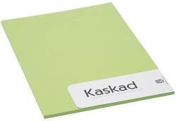Kaskad Névjegykártya karton KASKAD A/4 2 oldalas 225 gr lime zöld 66 20 ív/csomag (623866)