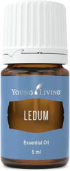 Young Living Ulei Esential Ledum 5ML