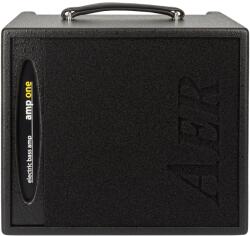 AER amp one - kytary