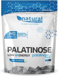Natural Nutrition Palatinose GI32 Natural 2, 5kg