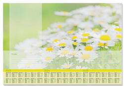 SIGEL Könyökalátét, 595x410 mm, 3 éves tervezővel, SIGEL "Lovely Daisies (HO307) - iroszer24