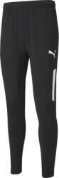 PUMA Pantaloni Puma teamLIGA Training Pants Pro 65733203 Marime M (65733203)