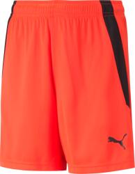 PUMA Sorturi Puma teamLIGA Shorts Jr 70493145 Marime 128 (70493145)