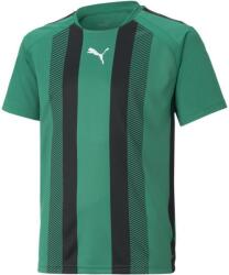 PUMA Bluza Puma teamLIGA Striped Jersey Jr 704927-005 Marime 128 (704927-005)