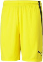 PUMA Sorturi Puma teamLIGA Shorts 70492407 Marime XXL (70492407)