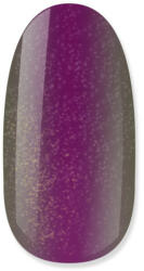 NiiZA Gel Polish 4ml - 238 cat eye
