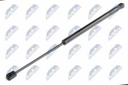 NTY Amortizor portbagaj NTY AE-CT-014 (AE-CT-014)