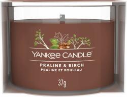 Yankee Candle Praline & Birch 37 g