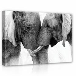 Consalnet Elefántok, vászonkép, 70x50 cm méretben (C5-12739O7)