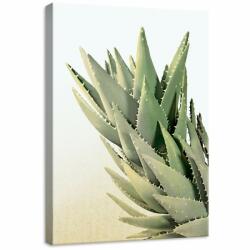 Consalnet Kaktusz, vászonkép, 50x70 cm méretben (C5-11971O7)