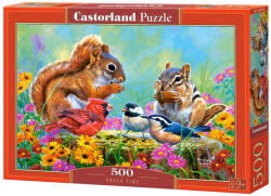 Castorland 500 db-os puzzle - Nasi idő (B-53612)