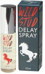 Cobeco Pharma Spray pentru intarzierea ejacularii Wild Stud 22ml - pasiune