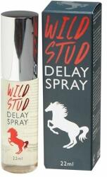 Cobeco Pharma Spray pentru intarzierea ejacularii Wild Stud 22ml