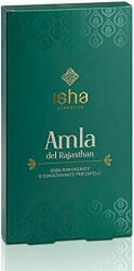 Isha Amla de Rajasthan pudra - tratament pentru par - 100g, Isha