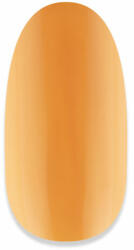 NiiZA Gel Polish 4ml - 197