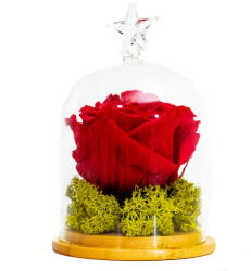 Colorissima Aranjament Trandafir Criogenat Rosu In Cupola