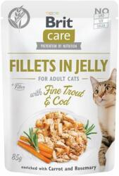 Brit Care Adult Fillets in jelly trout & cod 24x85 g