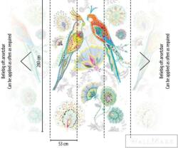 AS Creation House of Turnowsky 38911-1 színes papagáj mintás grafikus tapéta (38911-1)