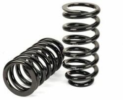 Arnott Set suspensie, arcuri elicoidale Arnott C-3080 (C-3080)