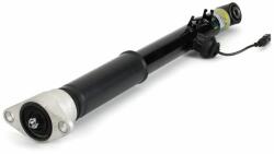 Arnott amortizor Arnott SK-3560 (SK-3560) - automobilus