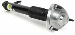 Arnott amortizor Arnott SK-3606 (SK-3606) - automobilus