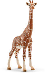 Schleich Figurina Schleich Wild Life Africa - Girafa reticulata, femela (14750) Figurina