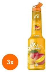 Mixer Set 3 x Pulpa Mango 100% Concentrat Piure Fructe Mixer 1 l