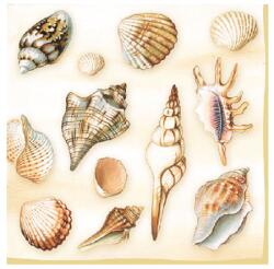 AMBIENTE Szalvéta 33x33cm 20db/csomag Shells Cream, Kagylók krém (AMB.13306865)