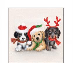 AMBIENTE Szalvéta 25x25cm 20db/csomag Sweet Dogs, Cuki kutyák (AMB.32516855)