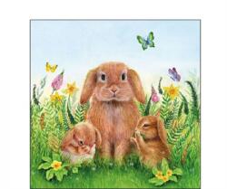 Ambiente Szalvéta 25x25cm 20db/csomag Rabbit Family, Nyuszi család (AMB.22515945)