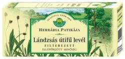 Herbária Lándzsás útifű levél tea 25 filter