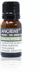 Ancient Wisdom Eukaliptusz Bio Illóolaj 10ml