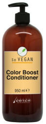 Carin Haircosmetics So Vegan Color Boost balzsam 950ml