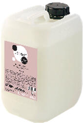 Inebrya Ice Cream Dry-T șampon hrănitor pentru păr uscat, aspru și tratat chimic 10 l
