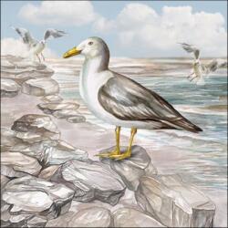 Ambiente Seagull On The Shore papírszalvéta 33x33cm, 20db-os
