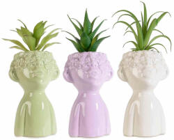 Decorer Set 3 plante artificiale in ghiveci 10x10x25 cm (A71.46.00)