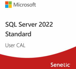 Microsoft SQL Server 2022 1 User CAL (DG7GMGF0MF3T-0002)