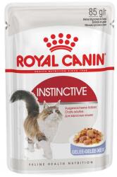 Royal Canin FHN Instinctive in jelly 12x85 g