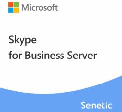 Microsoft Skype for Business Server Standard 2019 User CAL (DG7GMGF0F4K1-0002) - senetic