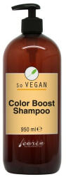 Carin Haircosmetics So Vegan Color Boost sampon 950ml - fodrasznagyker