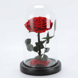 Aranjamente florale - Trandafir criogenat XXL in cupola de sticla cu blat negru argintiu