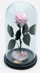 Aranjamente florale - Cupola cu trandafir criogenat pe pat de petale, roz