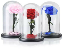 Aranjamente florale - Trandafir Criogenat XXL in cupola de sticla cu blat negru, pe pat de petale Pink